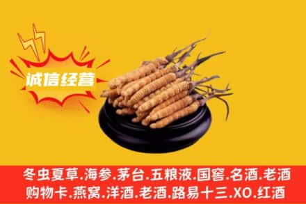 鄂尔多斯市达拉特回收冬虫夏草